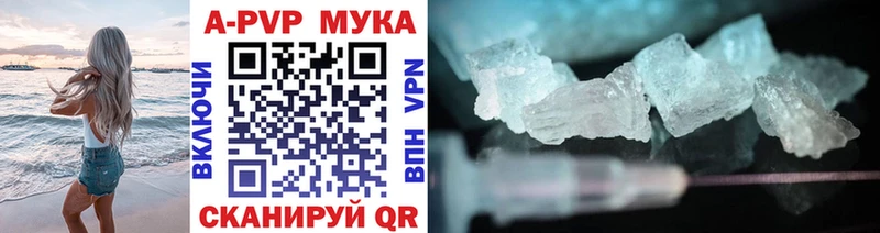 Купить где Кузнецк Альфа ПВП мука