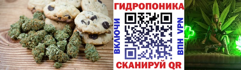 Купить закладки  Кузнецк  Печенье с ТГК конопля 