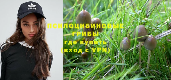 дмт Алексеевка