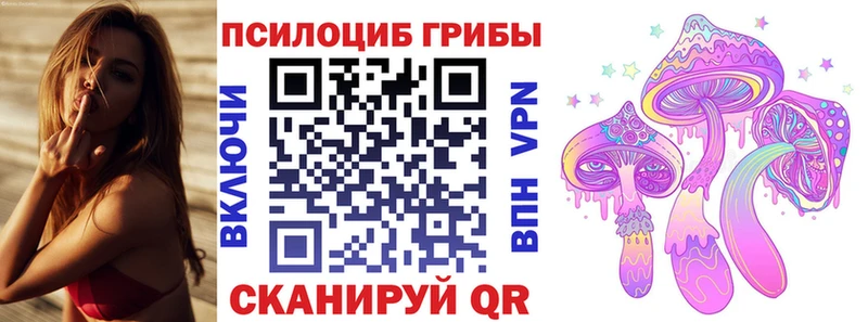 Псилоцибиновые грибы мухоморы Кузнецк