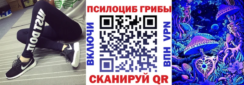 Псилоцибиновые грибы мухоморы  Купить где  Кузнецк 